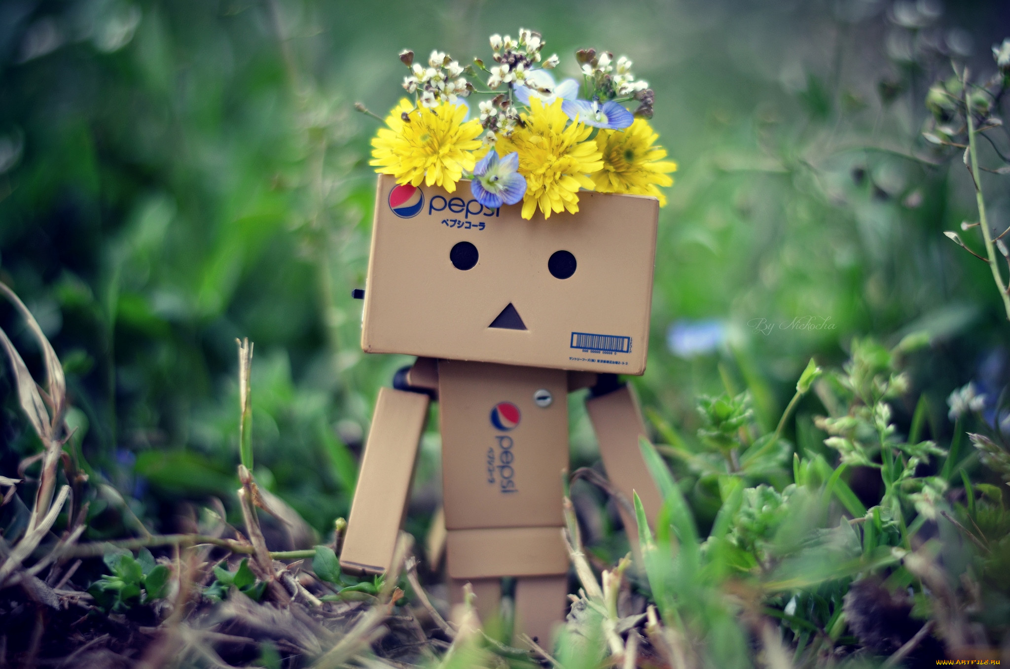 Картонный человек. Данбо. Данбо Весна. Человечек из коробки Danbo. Картонный человечек Весна.